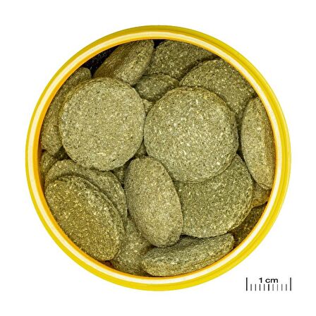 100 Gram Jbl Pro Novo Pleco Wafer XL Vatoz İçin Tablet Yem