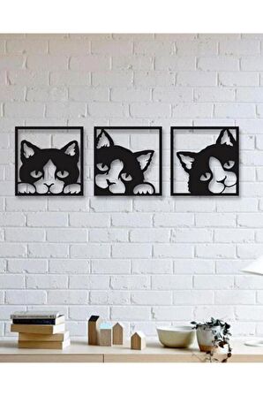 Kedi Duvar Panosu