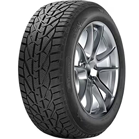 Taurus 205/45R17 88V XL Winter (Kış)  (2025)
