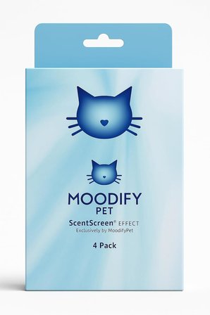 Moodify Tuvalet Kokusu