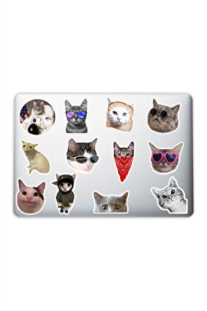 Kedi Cat Tasarımlı Laptop Notebook Tablet Telefon Sticker Set 020