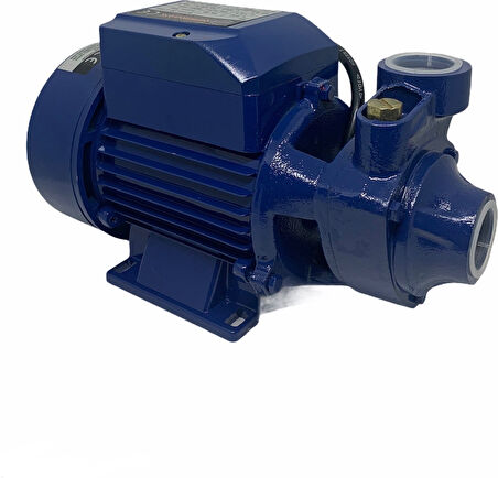Moonshop QB60 Elektrikli Su Motoru 0.5hp 1 Inç Bahçe Pompası Su Pompası 2 Yıl Garaantili Ürün...
