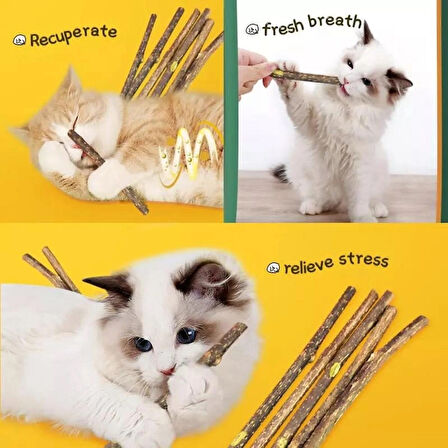 TİNEKE  Doğal Matatabi Kedi Çiğneme Çubuğu   5 Adet  10 mm