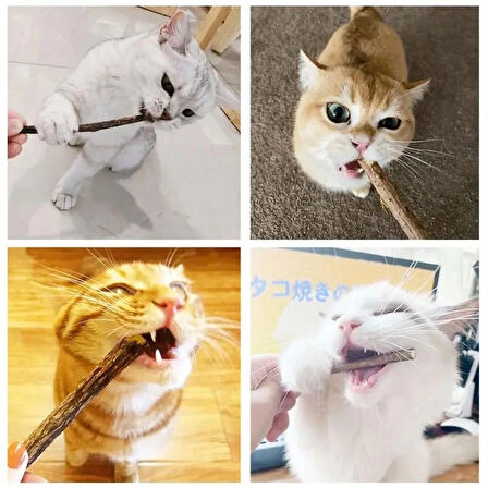 TİNEKE Doğal Matatabi Kedi Çiğneme Çubuğu   10  Adet  15 mm Kalın