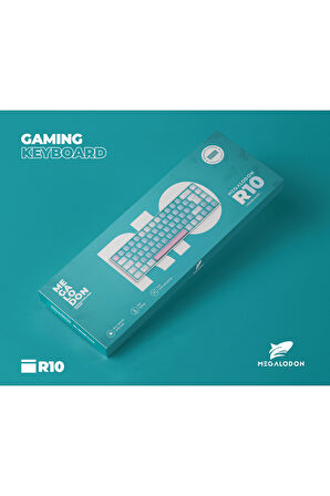 R10 Mekanik Klavye Full Anti-Ghosting Hot Swap Blue Switch Oyuncu Klavyesi (Türkçe) Buz Mavisi Işık