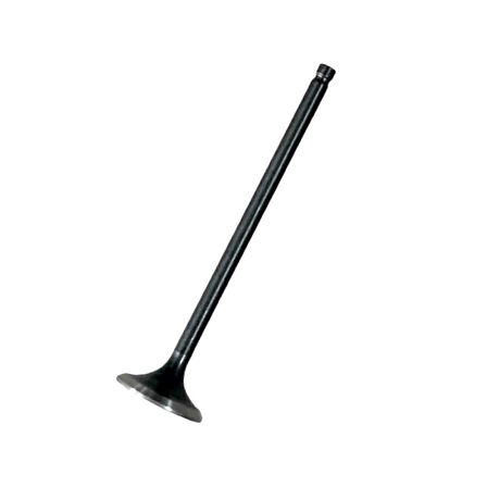 TVS Raider 125 Egzoz Subap N8011710
