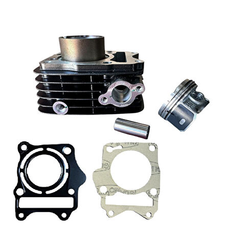 TVS Raider 125 Silindir Set Orjinal N6321880