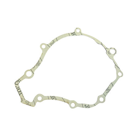 TVS Raider 125 Statör Kapak Contası