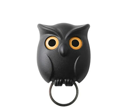 Night Owl Anahtar Tutucu