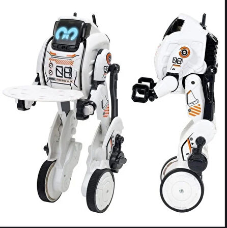 Robo Up Hizmet Robotu İşlerinizi Robotunuz Yapsın 