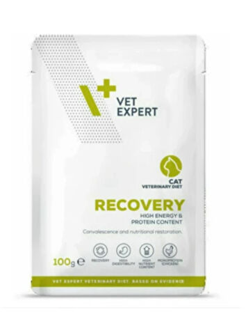 Vet Expert Recovery Kedi Yaş Mama 100 gr 