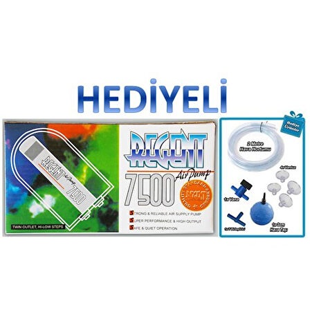 Regent 7500 Çift Çıkışlı Hava Motoru + Hava Seti