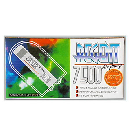 Regent 7500 Çift Çıkışlı Hava Motoru + Hava Seti