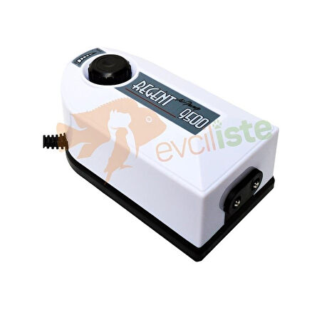 Regent 9500 Çift Çıkışlı Hava Motoru+Hava Seti