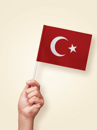 40'lı Set Çubuklu Kağıt Türk Bayrağı 12x20 cm - 23 Nisan Kutlama ve Süsleme Seti