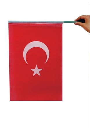 Plastik Sopalı Alpaka Bez Türk Bayrağı 20x30 cm (10’lu Set) 