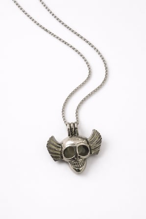 Karanlıkta Parlayan Kanatlı Kuru Kafa Gümüş Renk Kolye I Unisex Metal