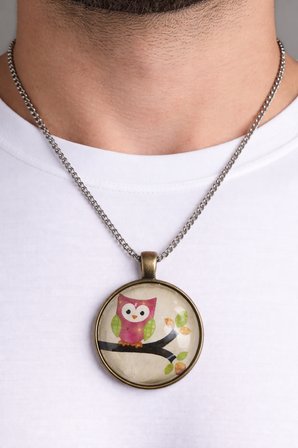 Baykuş Figürlü Cam Kaplama Kolye Gümüş Zincir 60 cm Unisex