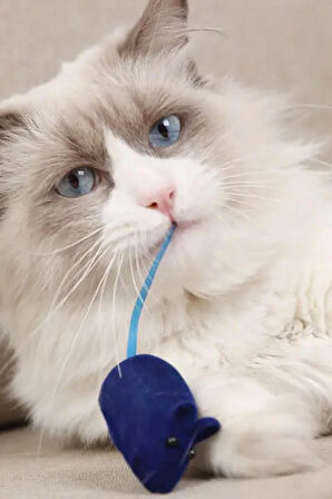Peluş Fare Sesli Eğitim Eğlence Kedi Oyuncağı Tek Adet