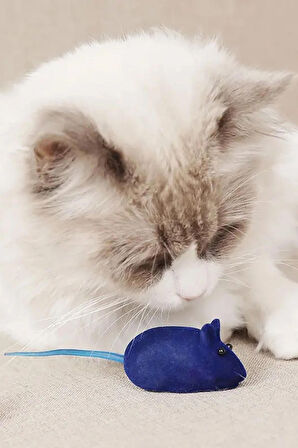 Peluş Fare Sesli Eğitim Eğlence Kedi Oyuncağı Tek Adet