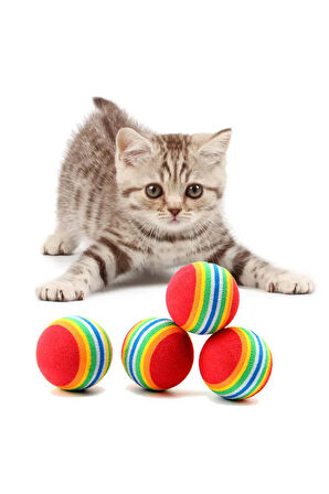 İnteraktif Enerji Atmaya Yardımcı Sesli Hareketli Kedi Oyuncağı 2'li Hafif Plastik & Sünger Top Set