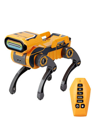 Robot Köpek Robo Dog Teslimat Robotu 