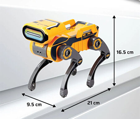Robot Köpek Robo Dog Teslimat Robotu 