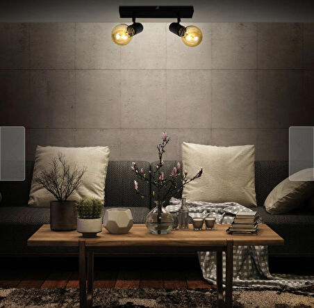 Rsylight Retro Metal Dekoratif 2 Li Tavan Plofyoner Mafsallı Spot Avize