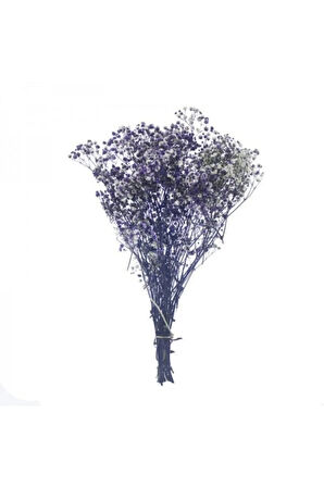1 Demet Doğal Cipso Çiçek Naturel ( 18 Cm * 40 Cm ) ( 50 gram) Parti Süslemeleri