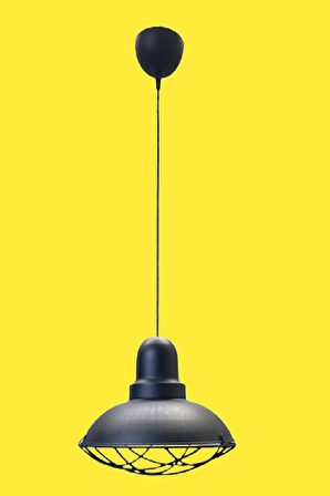 Rsylight Retro Siyah Metal Kafesli Dekoratif Tekli Kafe Mutfak Sarkıt Avize Çap:30 cm