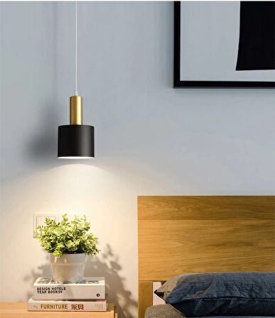 Rys Retro Metal Siyah Dekoratif Rustik Kafe Mutfak Sarkıt Avize çap 20 cm