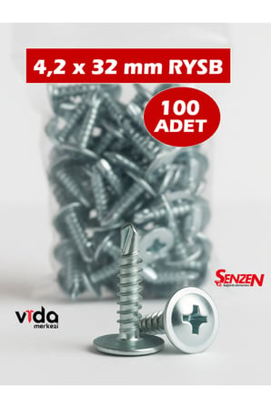 4,2x32 RYSB Pul Başlı Matkap Uçlu Vida 100'lü