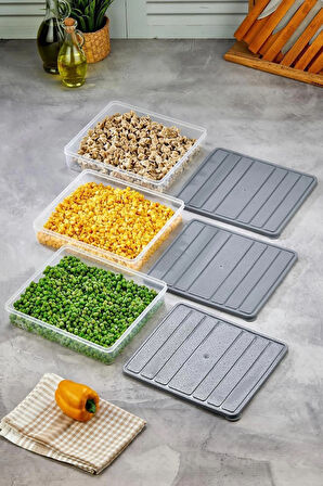 EVROYA HOME 3'lü Set Kendinden Kapaklı Derin Dondurucuya Uygun Saklama Kabı Seti Cok Amaçlı Kullanıma Uygun