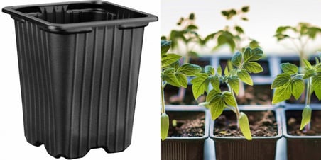 FİDE ÜRETİM SAKSISI 20 ADET -  KARE 8X8 CM VAKUM SAKSI