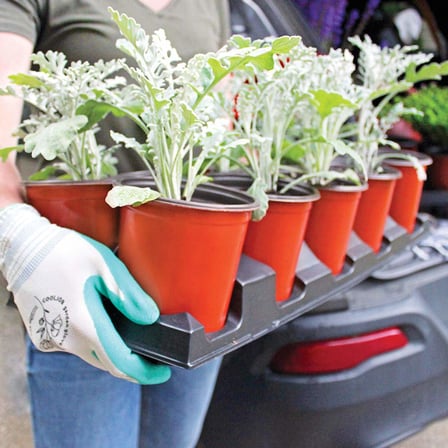 ÜRETİM SAKSISI 500 ADET / 12 CM VAKUM SAKSI