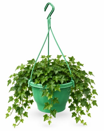 yeşi̇l makrome saksi 2.5 lt / 21 cm (aski dahi̇l 50 cm)