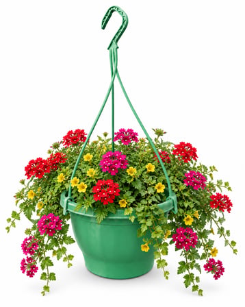 Yeşi̇L Askili Saksi 4.5 Lt (24.7 X 15.2 Cm /  60 Cm)