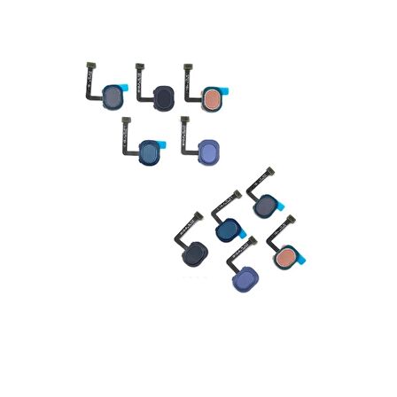 Samsung Galaxy M20 M205F İle Uyumlu Home Tuş Parmak İzi Film Mavi