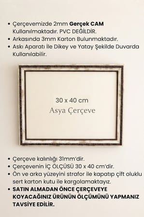 30 x 40 cm Osmanlı Saray Serisi Camlı Oda Mutfak Salon Koridor Poster ve Resim Çerçevesi