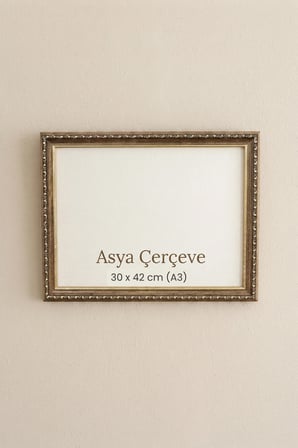 30 x 42 cm (A3 ebatı) Osmanlı Saray Serisi Camlı Oda Mutfak Salon Koridor Poster ve Resim Çerçevesi