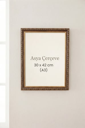 30 x 42 cm (A3 ebatı) Osmanlı Saray Serisi Camlı Oda Mutfak Salon Koridor Poster ve Resim Çerçevesi