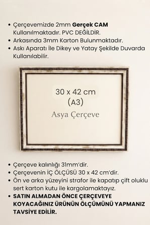 30 x 42 cm (A3 ebatı) Osmanlı Saray Serisi Camlı Oda Mutfak Salon Koridor Poster ve Resim Çerçevesi