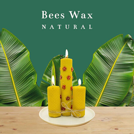 Troya 3lü sargı bal mumu