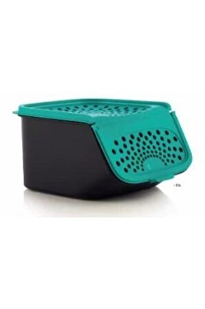 Tupperware Mini Sarımsak Saklama Kabı 2,3 Lt