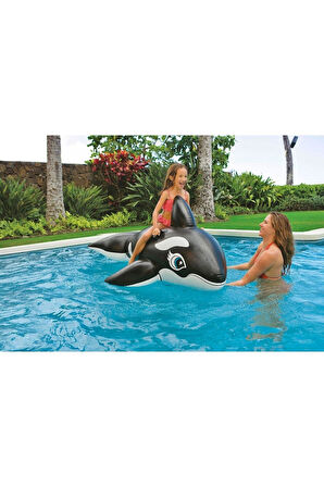 Balina Binici - Çocuk Şişme Balina - Deniz Binici Balina - Havuz Binici Balina Whale 193x119 cm.