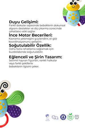 Kelebek Diş Kaşıyıcı, Dişlik