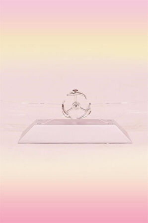 BUFFER® Dekoratif Masa Üstü Obje Manyetik Kinetik Orbital Dönen Yunuslar