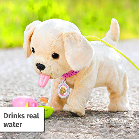  BABY BORN 835869 KÖPEĞİM LUCKY SESLİ HAREKETLİ PİLLİ 3+