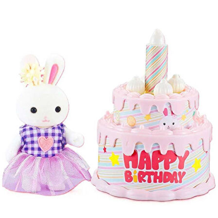 BAY DREAMY MİNİ TAVŞAN 6621-8 KEK SETİ 3+