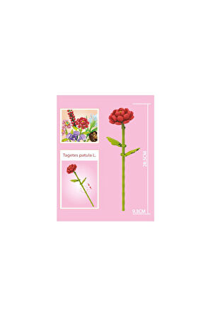 Blok Çiçek Kadife Çiçeği 133 Parça